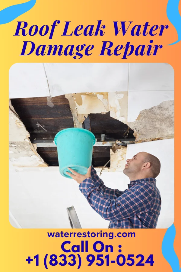 Roof Leak Water Damage Repair in Palmetto, LA